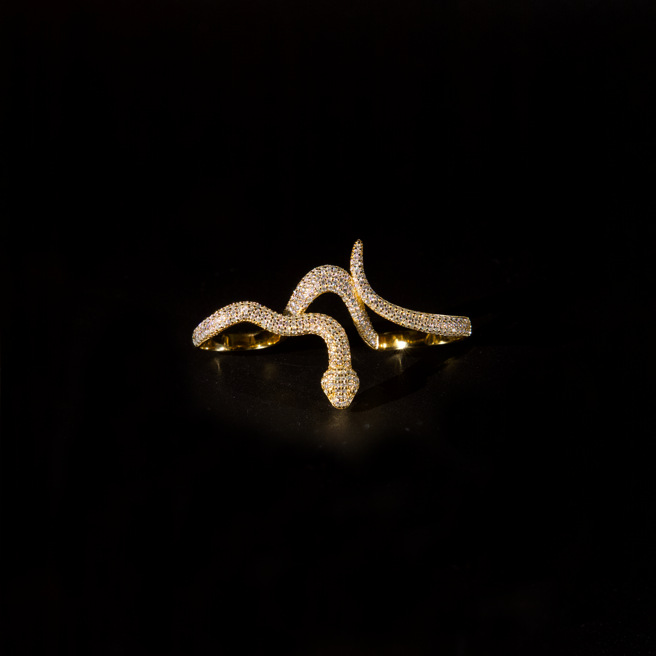 Snake Ring (Gold)