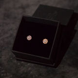 Cluster Stud Earrings (Rose Gold)