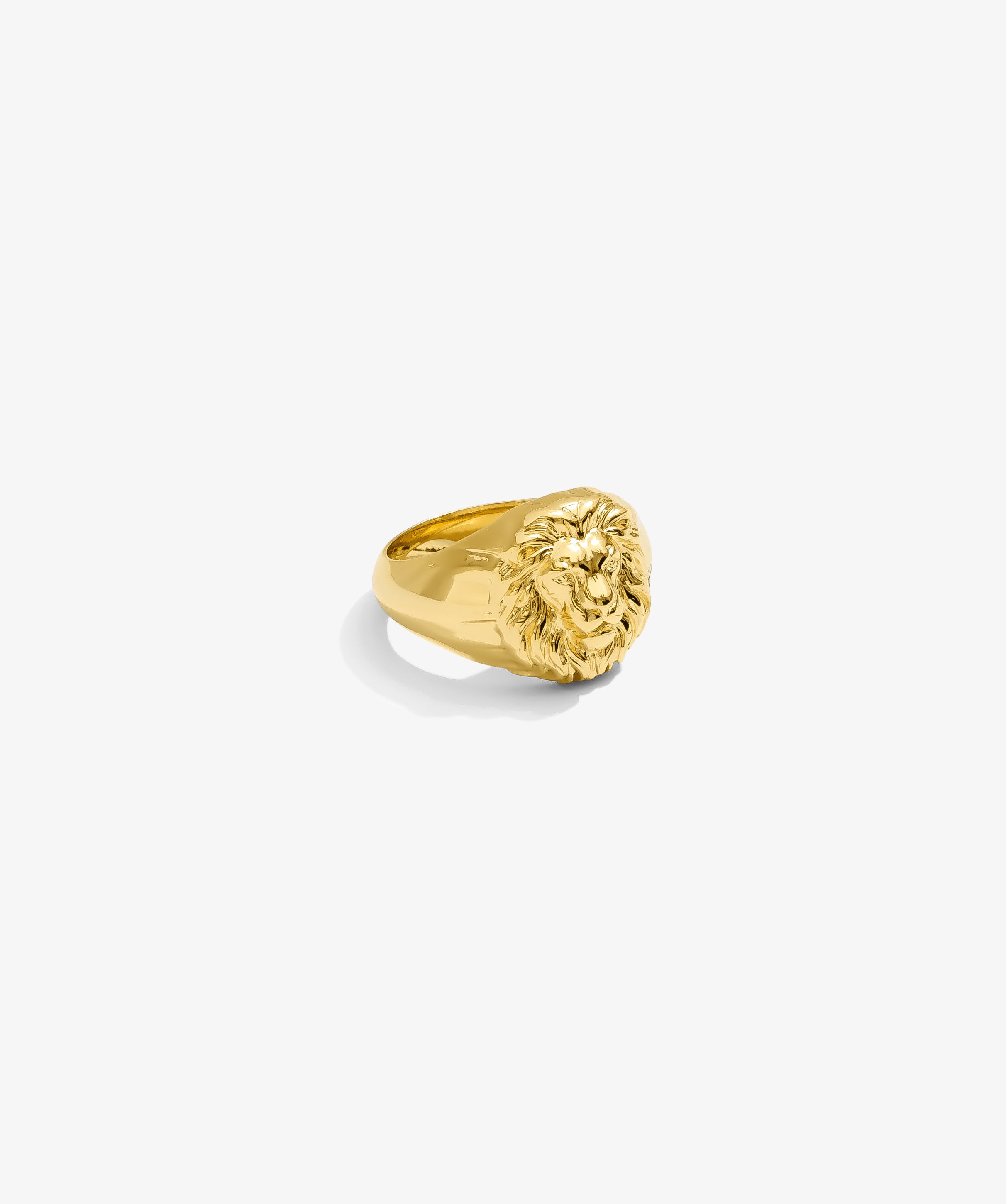 ICED London gold lion head signet ring, polished solid gold jewelry.