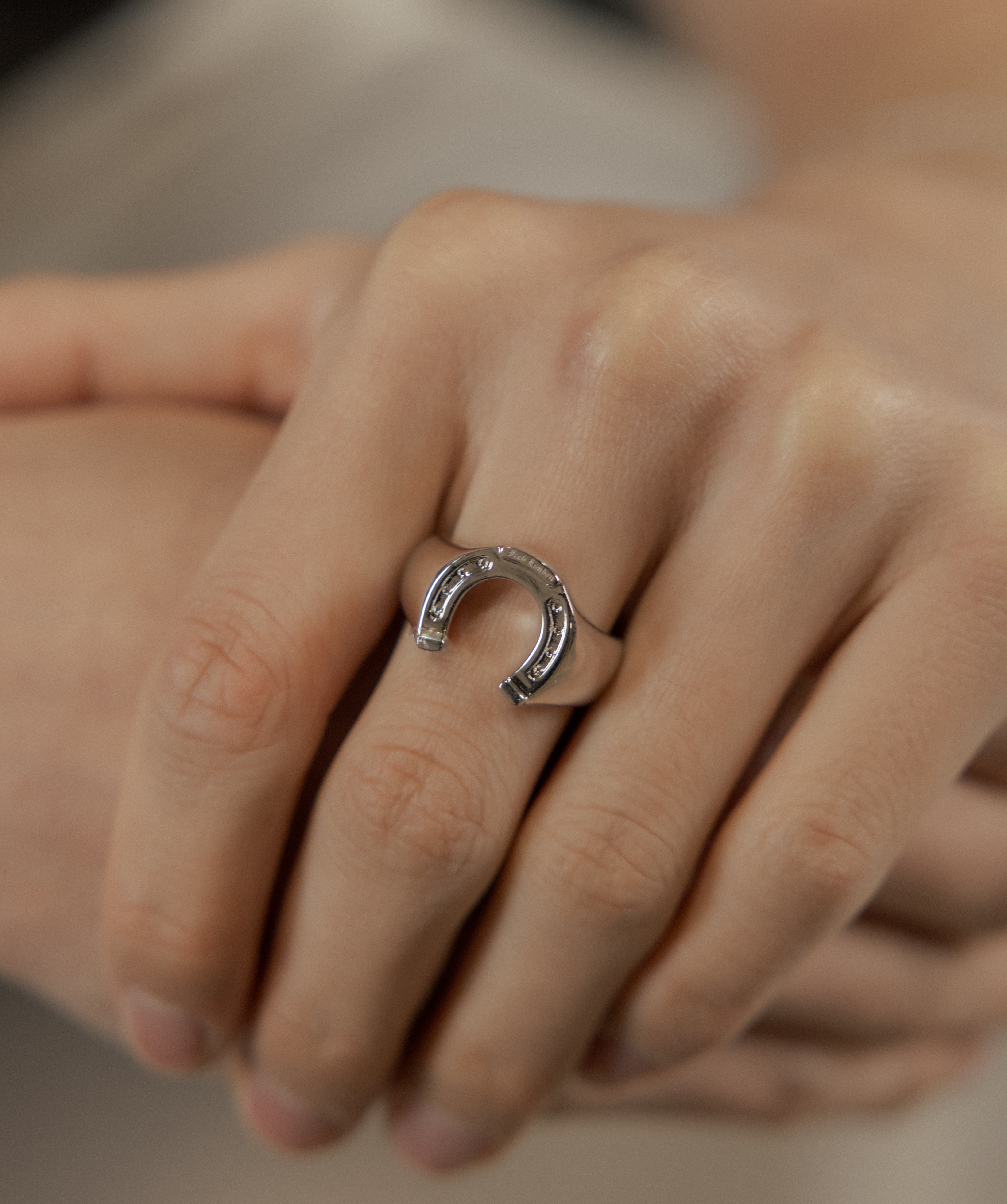 Horseshoe Ring — White Gold view 2 | colour:white