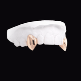 Vampire Fangs (Two Teeth)